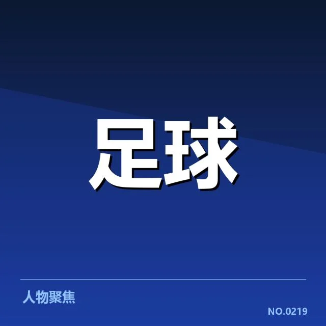 法国杯球场建设:基建规模与未来规划疑问